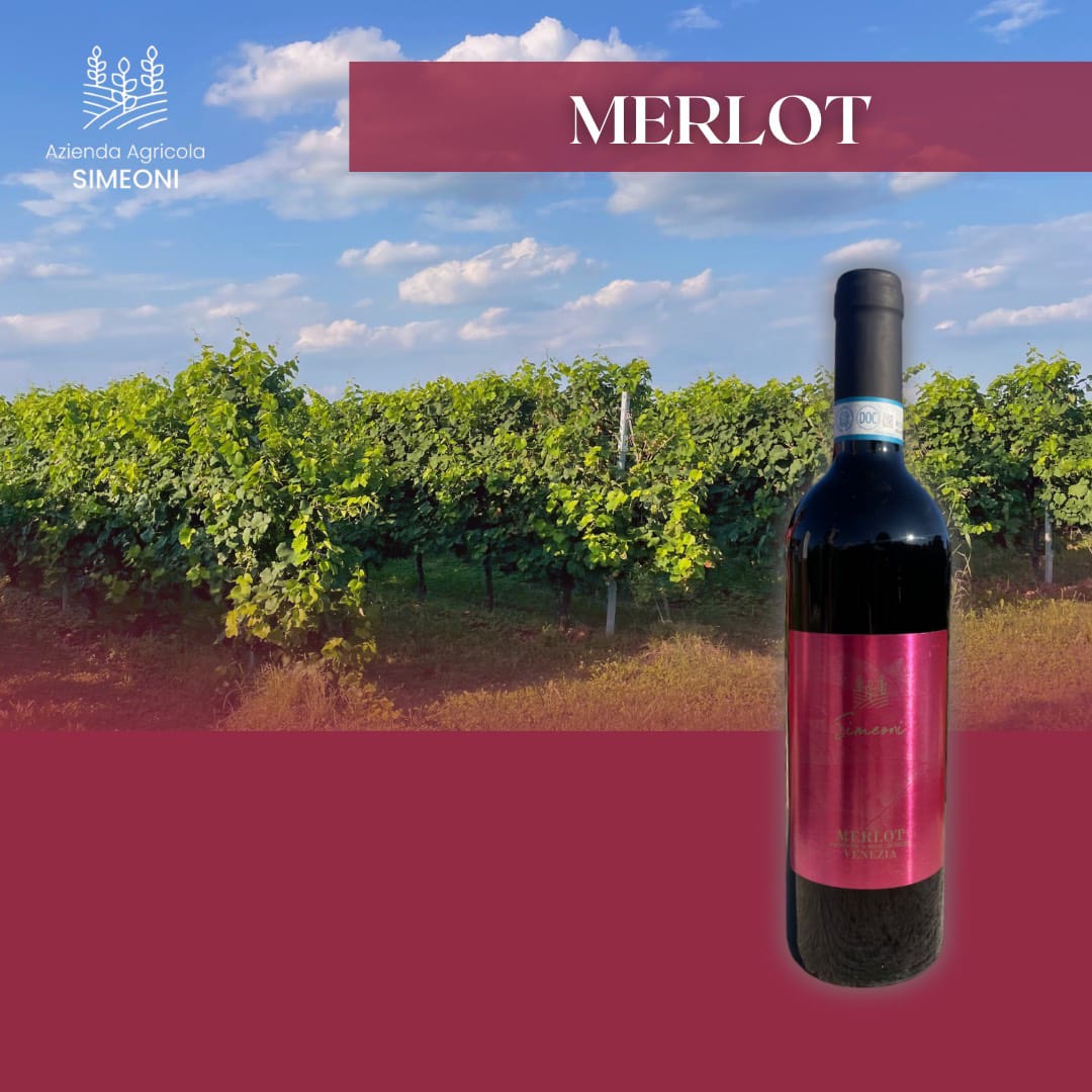 MERLOT D.O.C DELLE VENEZIE (x6)